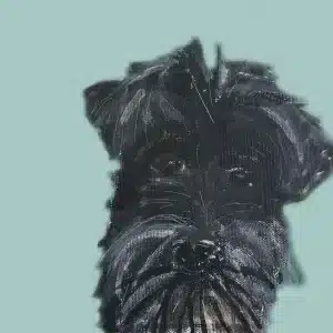  Hector Dog Card